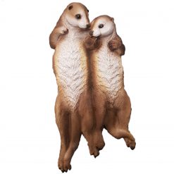 Floating Meerkat Couple