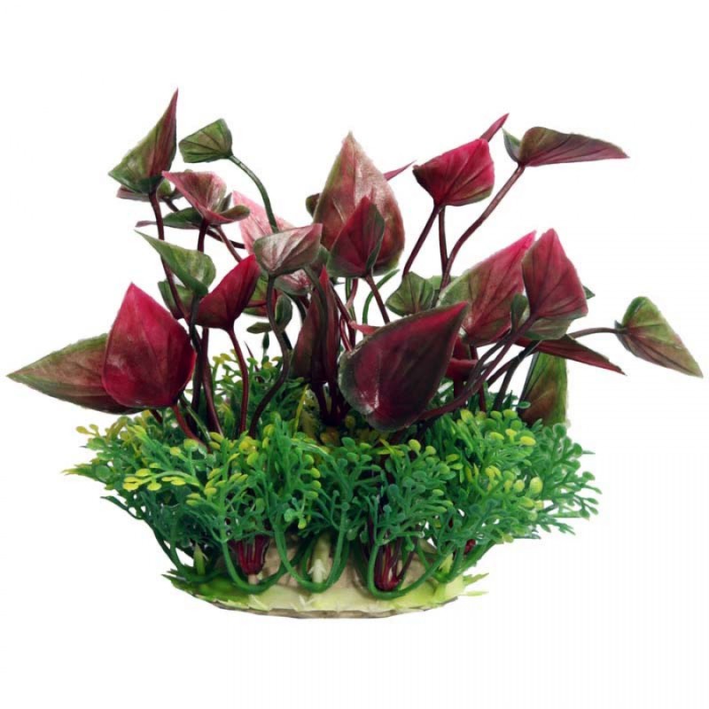 Small Lily Red - Ecoscape