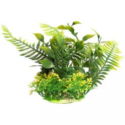 Small Green Fern - Ecoscape