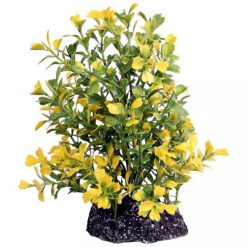 Medium Japanese Box Yellow - Ecoscape
