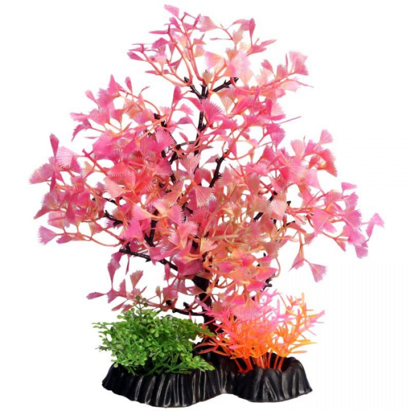 Medium Fan Palm Red - Ecoscape