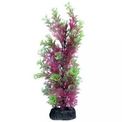 Large Cabomba Pink - Ecoscape