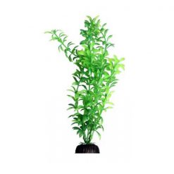 Ludwigia Green - Ecoscape