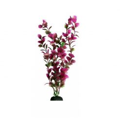 Fan Palm Pink -Ecoscape