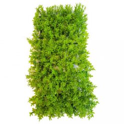 Abiete Tolli Mat - Ecoscape