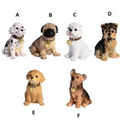 Puppy with Bell Collar