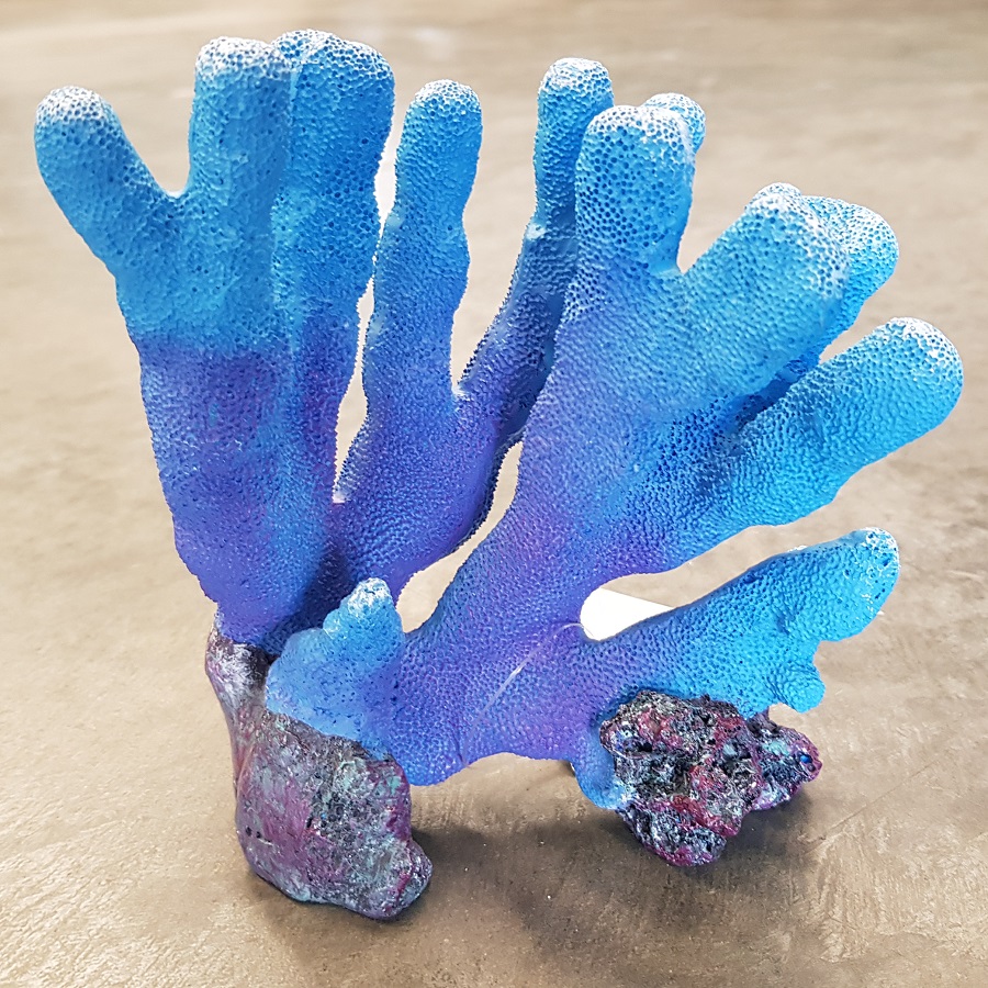 Copi Coral Porites