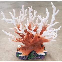 Gorgonian Coral
