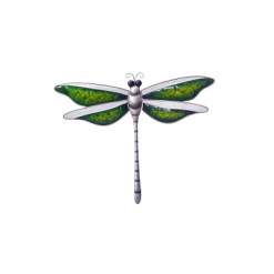 Dragonfly with Green Wings Wall Art