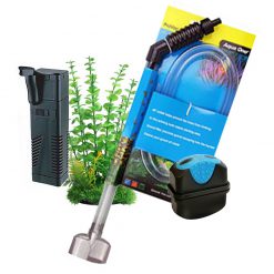 Aquarium Supplies
