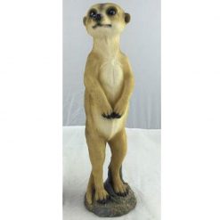 Garden Meerkat