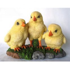 Trio of chicks