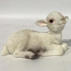 Lamb
