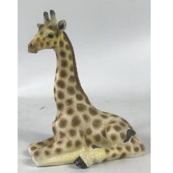 Giraffe Sitting
