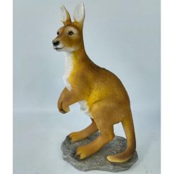 Kangaroo
