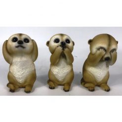 Wise Meerkats - Set of 3