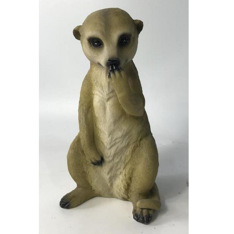 Thinking Meerkat