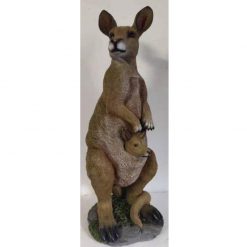 Kangaroo with Joey on Grass