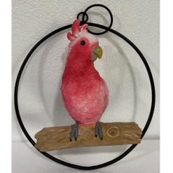 Pink Galah on Ring