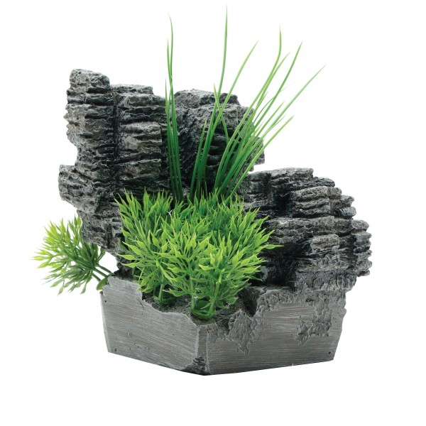 Rock Mountain with Plants