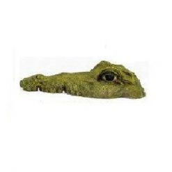Floating Crocodile Flat Head