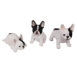 French Bulldog Puppy