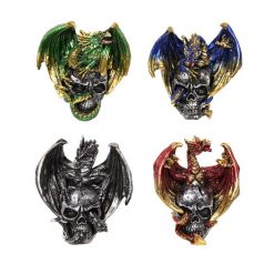 Dragon on Skull