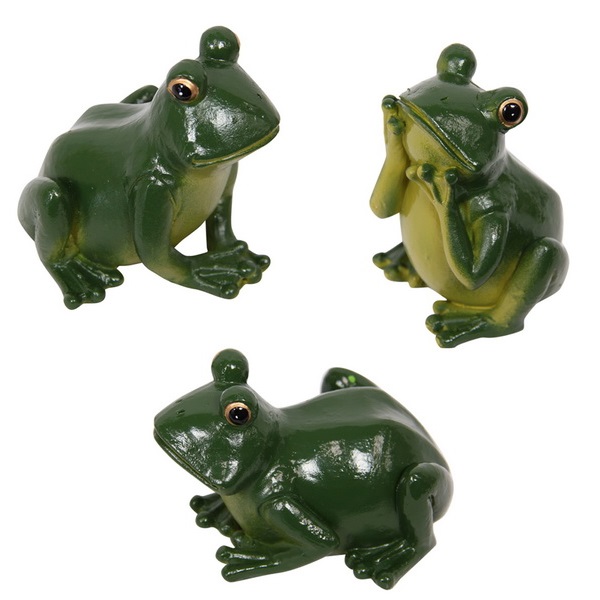 Garden Tree Frog