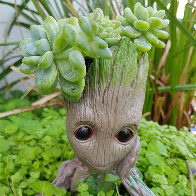 Twiggy Planter