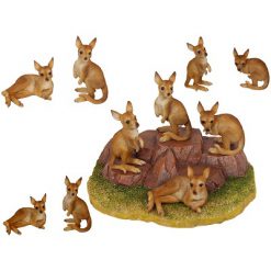 Kangaroos