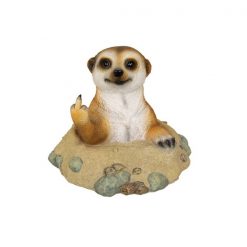 Meerkat Giving Rude Finger
