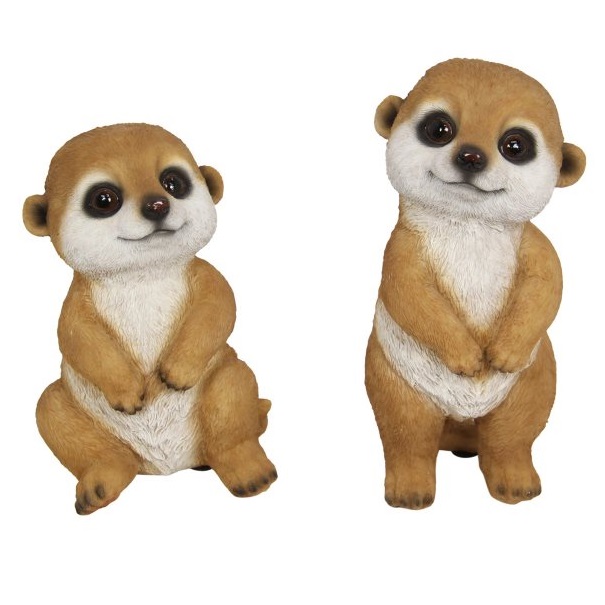 Cute Meerkat