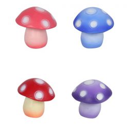 Colourful Garden Mushroom