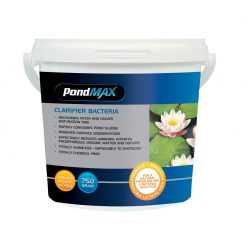 Clarifier Bacteria 750G