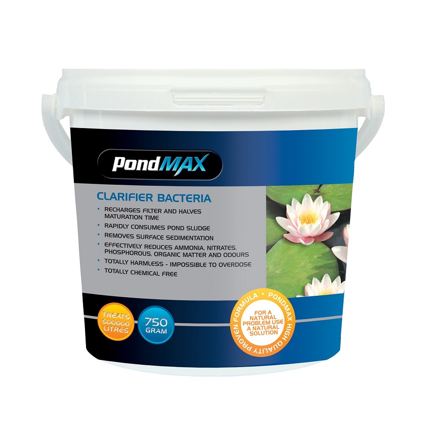 Clarifier Bacteria 750G