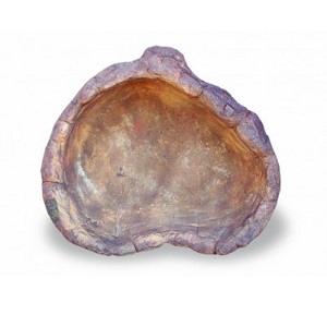 Pond SRP-012