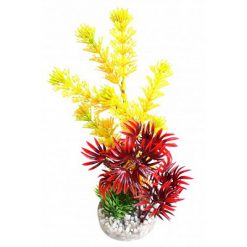 Fiesta Aqua Tropic 24cm