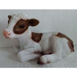 Brown and White Cow