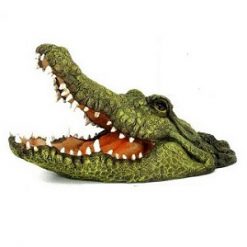 Floating Crocodile Head Mouth Open Large