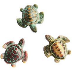 Miniature Turtles